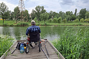veteran disability